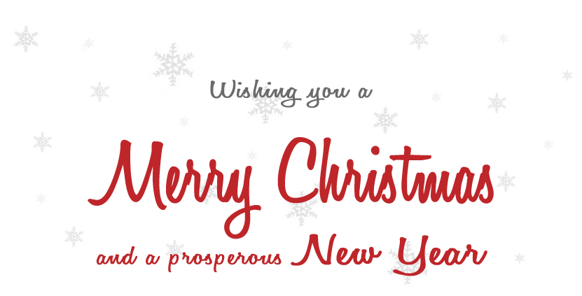 Wishing you a Merry Christmas - show remote content to see our card